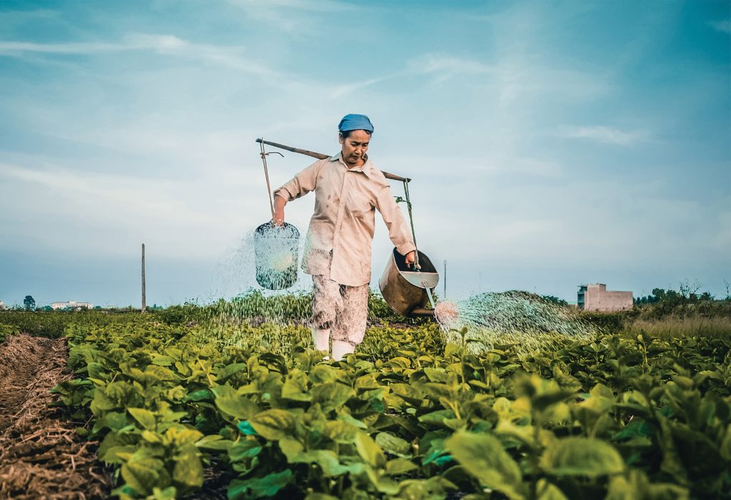 woman watering plants