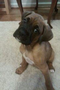 Murphy