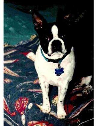 Winston